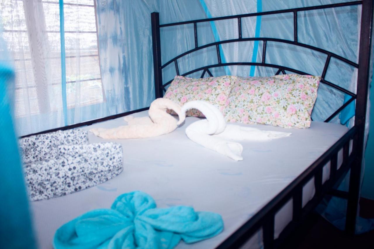 Afro Whale Shark Safari Bed and Breakfast Kilindoni Eksteriør billede